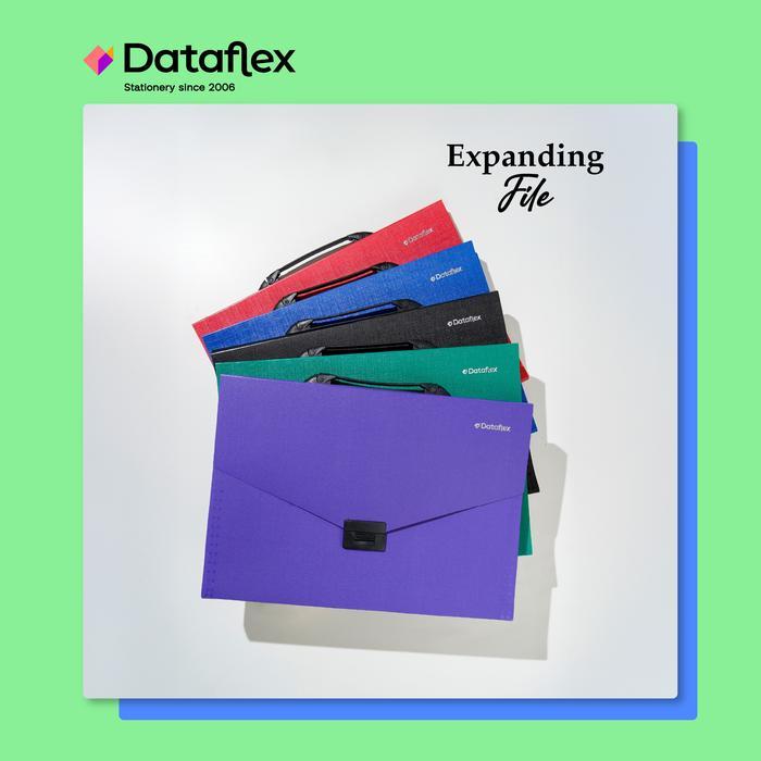 EXPANDING FILE DATAFLEX / MAP EXPANDING DATAFLEX