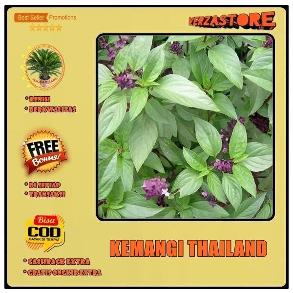 biji/benih/bibit tanaman kemangi thailand /50 biji