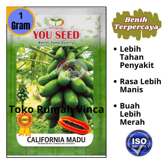 Bibit Biji PEPAYA CALIFORNIA MADU dari CAP YOU SEED Benih Pepaya