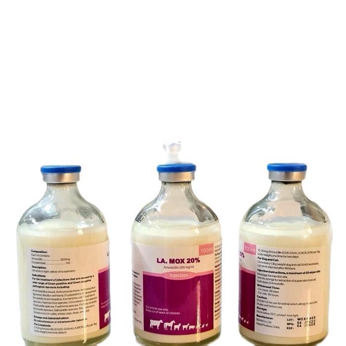 OBAT PMK / LA MOX 20% 100ML ANTIBIOTIK UNTUK PENANGANAN PMK PADA SAPI,KAMBING