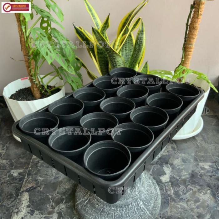 Top 1 SET TRAY + 15 PCS POT HITAM 10CM TRAY POT NKT 50CM TRAY SEMAI BIBIT