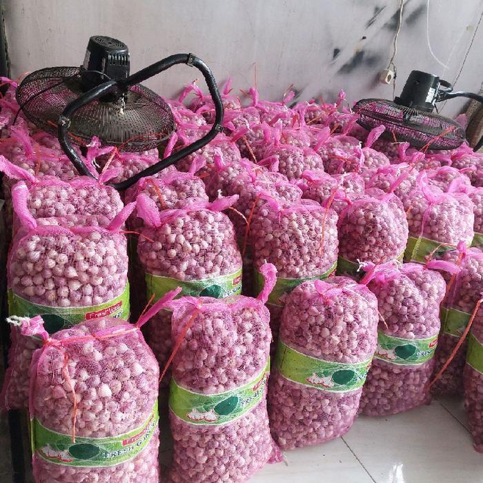1Kg [Ukuran Sedang 2Cm -2,3Cm] Bawang Putih Tunggal Kualitas Bagus Pilihan [Bisa Cod] Bawang Lanang