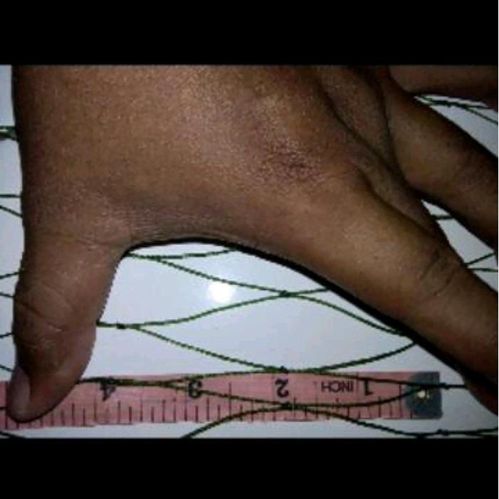 Promo Jaring Ayam Serbaguna 1,5M X 30M (4Inchi), Jaring Pagar Ayam, Jaring Tanaman, Jaring Kebun