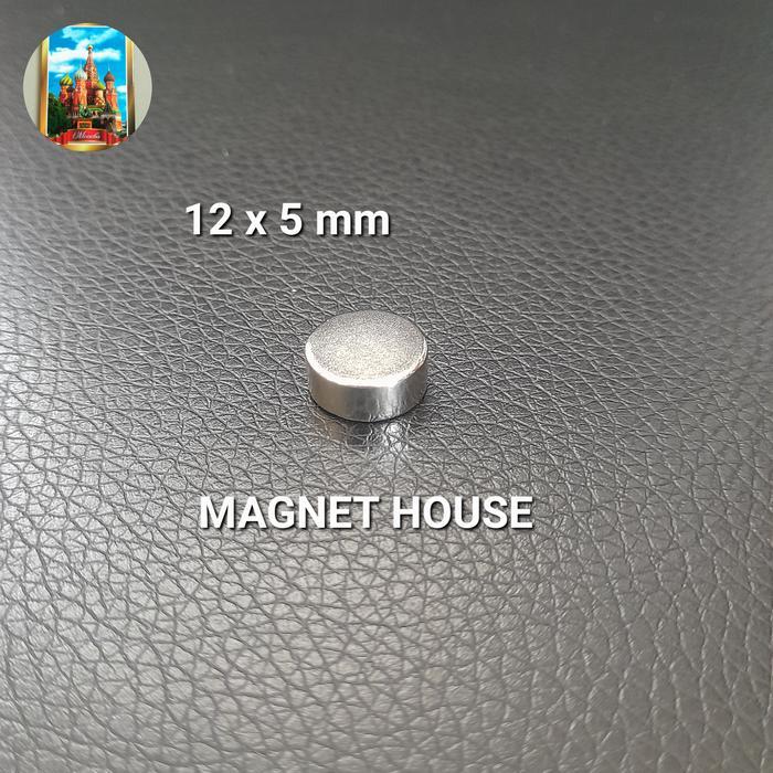 Magnet Neodymium Bulat 12X5 Mm 12X5Mm 12 X 5 Mm 12Mmx5Mm 12Mm X 5Mm