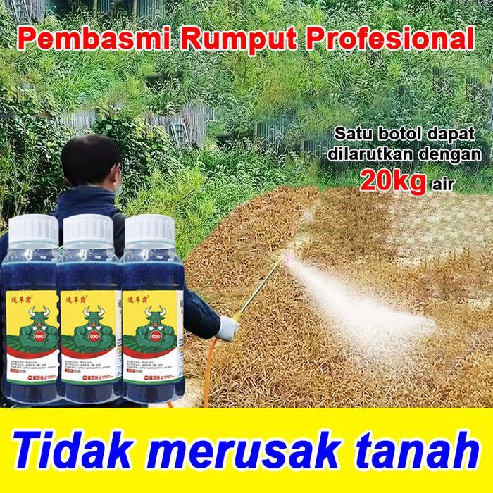 Racun Rumput Paling Ampuh Racun Pohon Besar Ampuh Oba Pembunuh Pohon Besar obat Pembasmi Rumput Liar