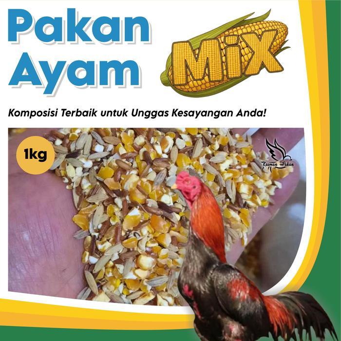 Pakan Ayam Campur Beras Merah Gabah Jagung Pecah