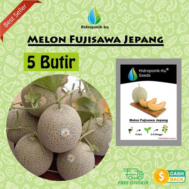Bibit / Benih Melon Fujisawa Jepang (5 Butir) - Hidroponik Ku