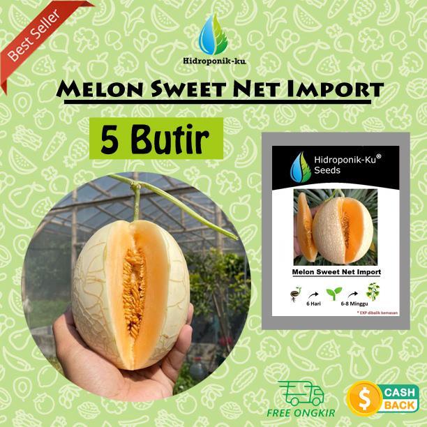 Bibit / Benih Melon Sweet Net Import (5 Butir) - Hidroponik Ku