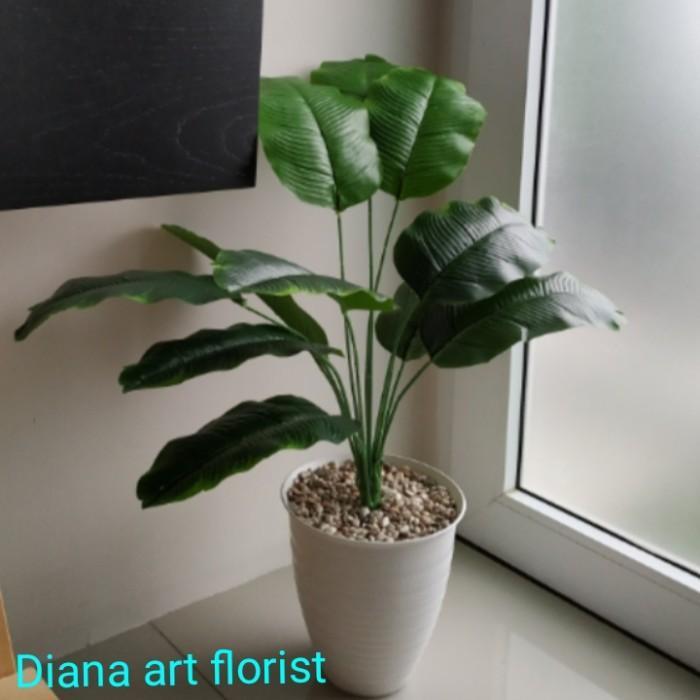pohon hias#pohon pisang hias#pisang tiruan/tanaman artificial