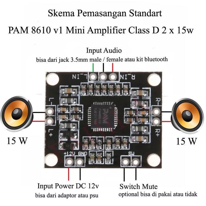 "New" Kit Modul PAM 8610 v1 Digital Amplifier Class D