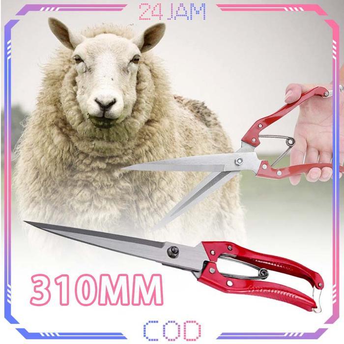 Gunting Cukur Manual Bulu Domba Kambing Anjing Alat Cukur Ternak Multifungsi Scissor Wool Premium