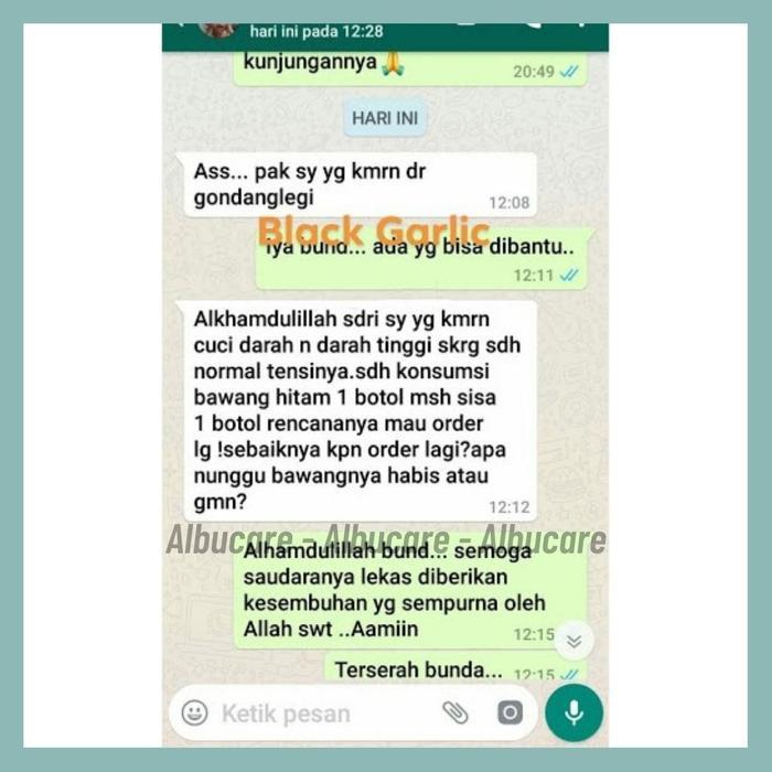 OBAT PEMBERSIH DARAH KOTOR, GAGAL GINJAL, PENCUCI DARAH KOTOR - GARLIC