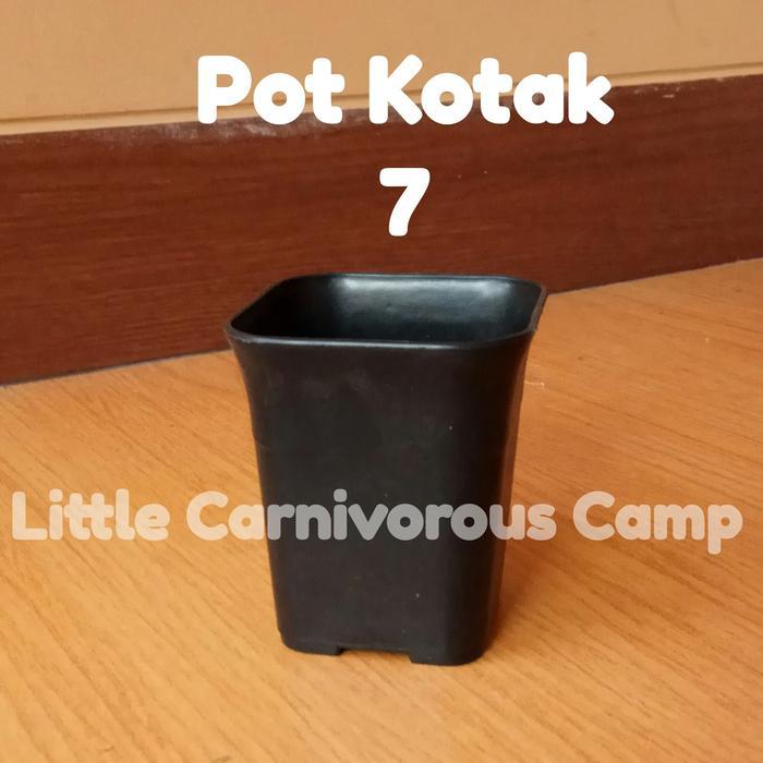 "New" Pot Kotak 7 cm Hitam putih coklat NKT pot kaktus sukulen plastik tebal pot mini kecil