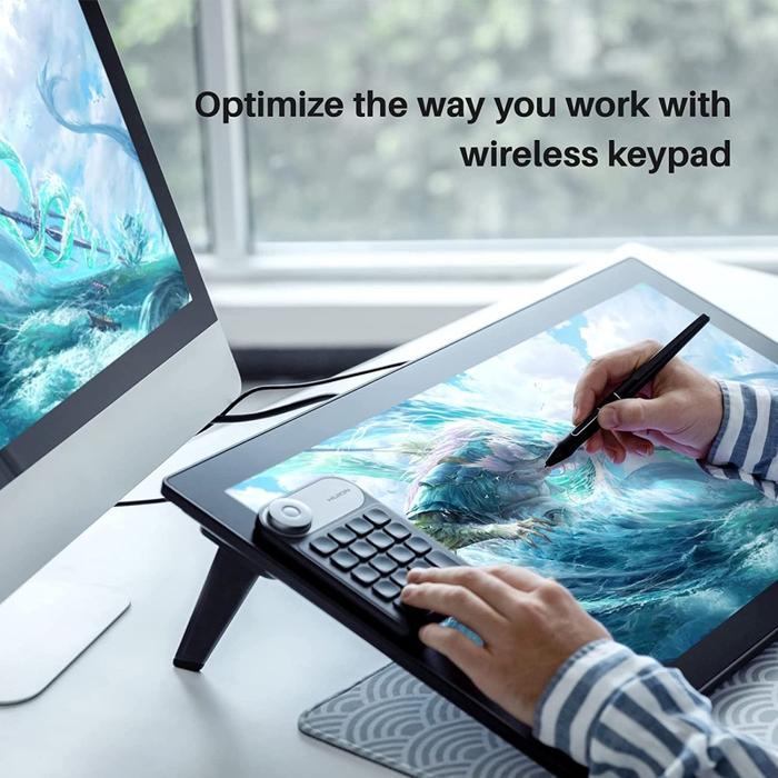 Huion Kamvas Pro 24 4K 140% sRGB Drawing Tablet Display