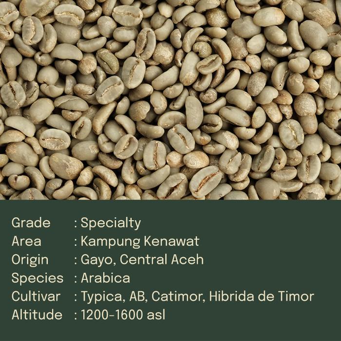GREEN BEAN ARABICA GAYO KAMPUNG KENAWAT KAWANDA 1KG