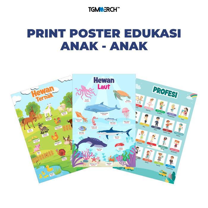 Poster Edukasi Anak Balita Poster Pendidikan Poster Dinding Murah