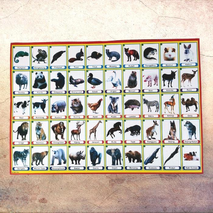 Poster Edukasi Gambaran Buah Hewan Dan Sayuran