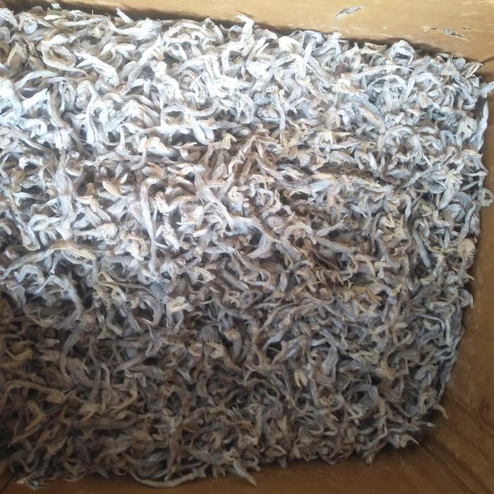 IKAN ASIN JAMBRONG / SITING / SITENG KECIL / GESEK CANGAK 500 GR