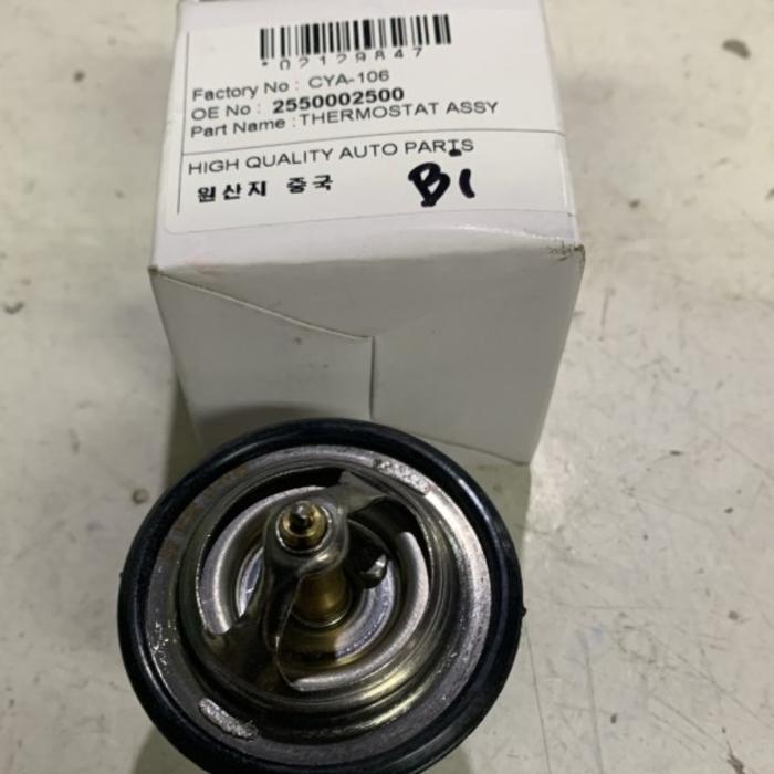 Termostat Kia Picanto Old 2004-2008