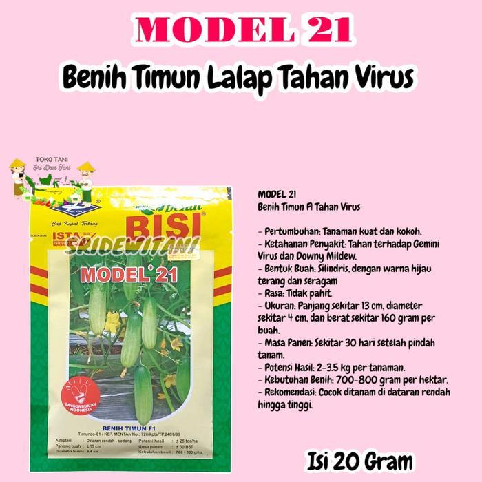 MODEL 21 F1 BIBIT BENIH TIMUN LALAP TAHAN VIRUS CAP KAPAL TERBANG BISI Hijau Tanaman