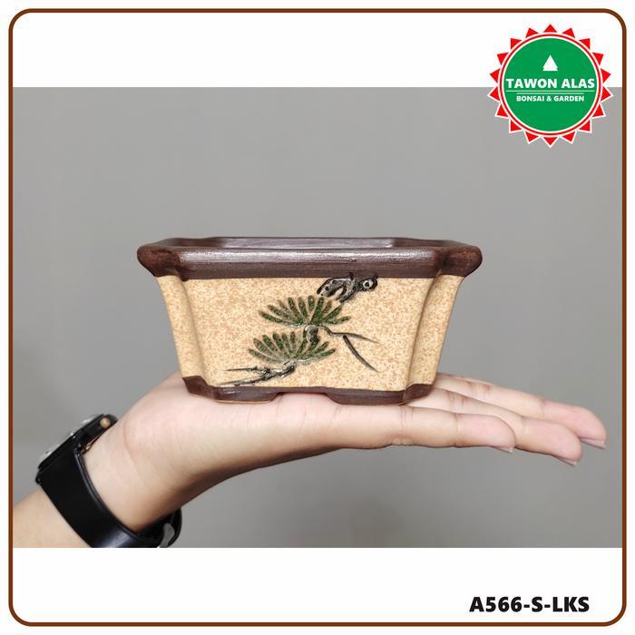 Top Pot Bonsai Keramik Segi Empat Bagus Kecil S Mini Mame - Lukis
