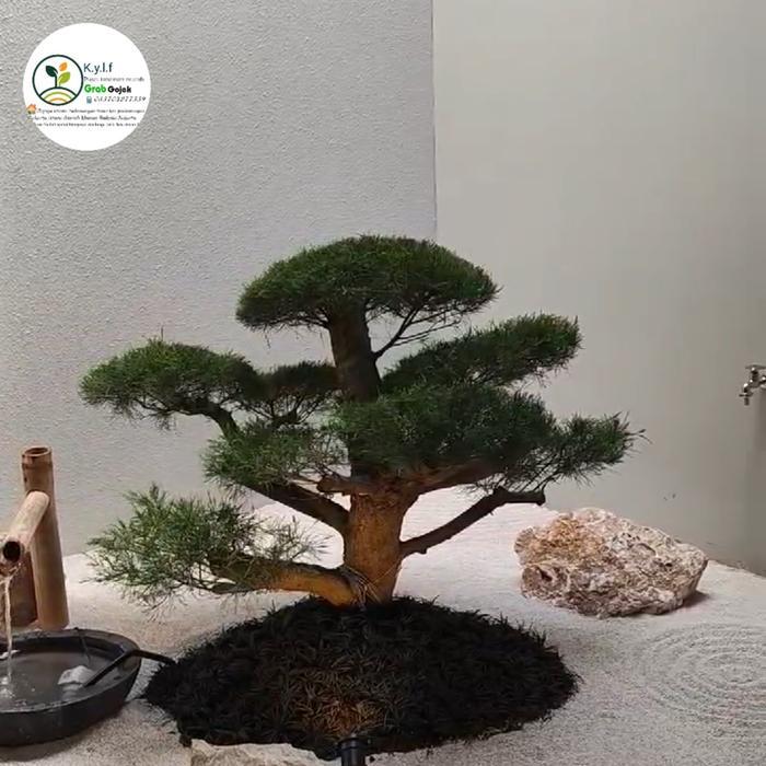 pembuatan taman indoor / taman Jepang / taman batu / taman rumput