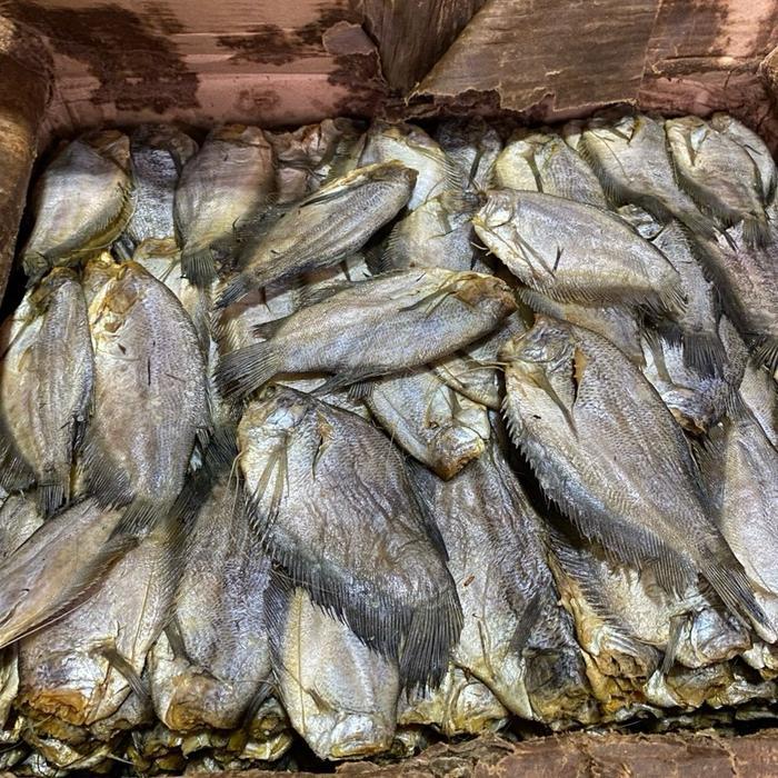 Ikan Asin Sepat Semi Tawar