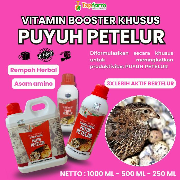 Vitamin Burung Puyuh Petelur/ Vitamin Herbal Puyuh Petelur/ Obat Untuk meningkatkan Produksi Puyuh /