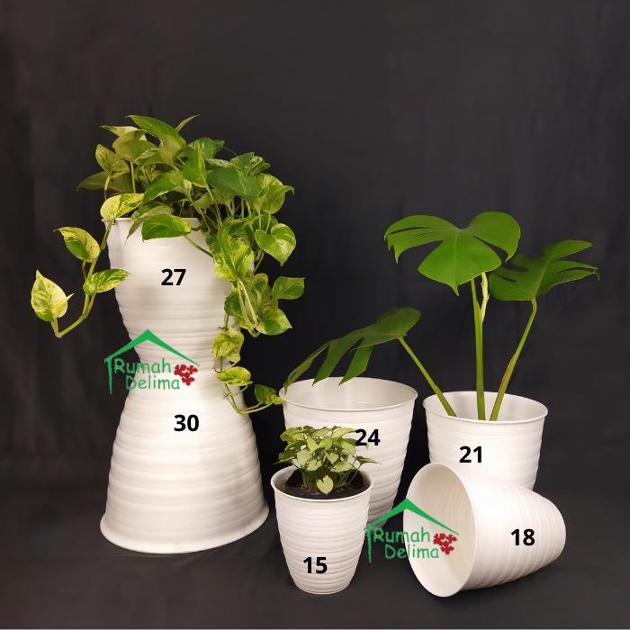 pot tawon pirus 21 cm/pot tawon putih pirus/pot plastik
