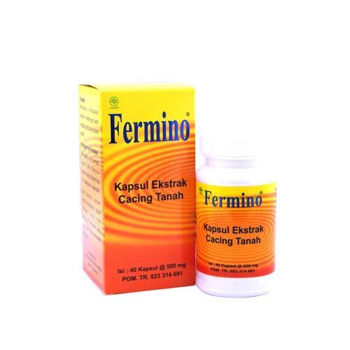 Fermino Ekstrak Cacing Tanah isi 40 / Obat Tipes