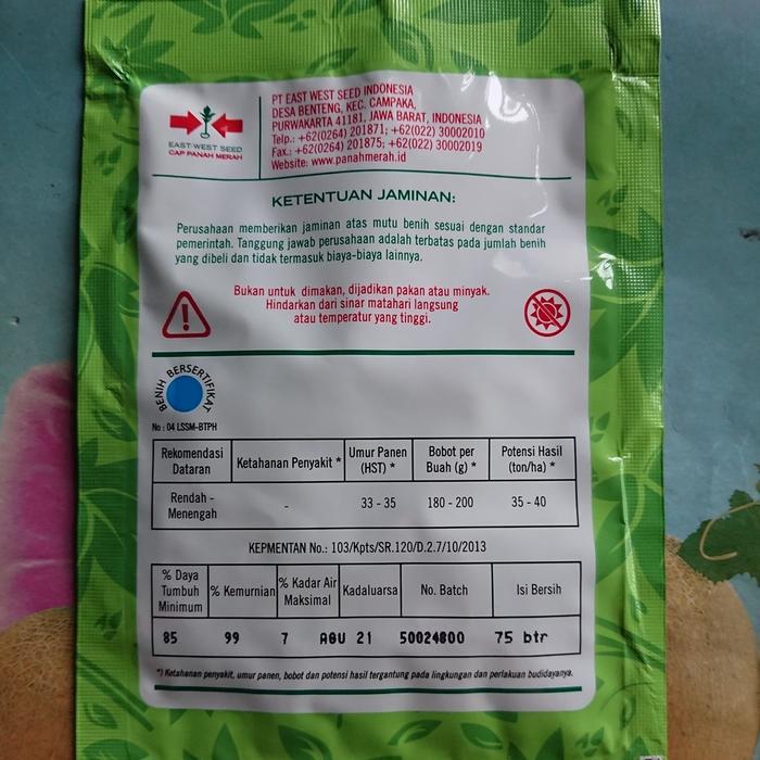 Zico Stored Gambas/Oyong Azura