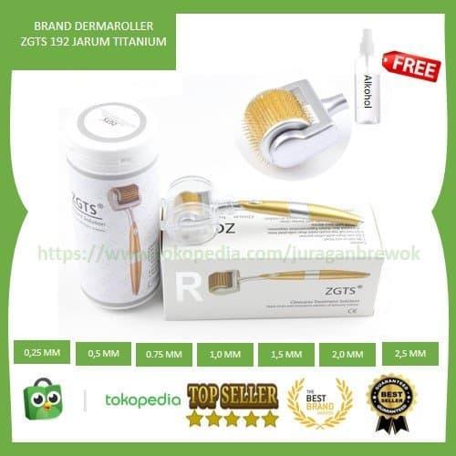 Dermaroller ZGTS Titanium 540 Needles