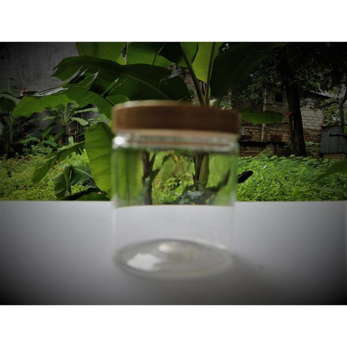 Toples Plastik 600 ml / Jar - Toples Makanan 600 ml