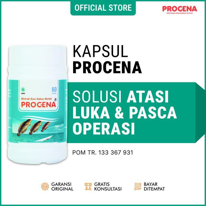 Kapsul Ikan Gabus Terbaik Albumin Procena Kapsul Ekstrak Ikan Kutuk Original