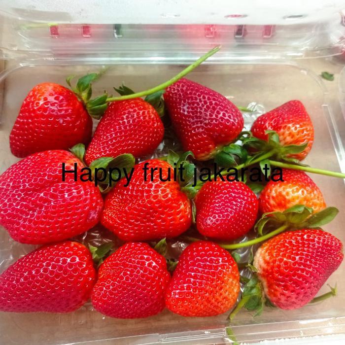 Strawberry jumbo fresh strawberry sweet darling USA jumbo pack 454gr