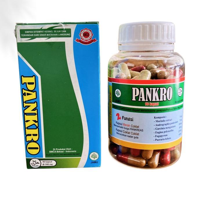 OBAT HERBAL PANKRO ISI 90 KAPSUL - RUMAH SEHAT BMCA