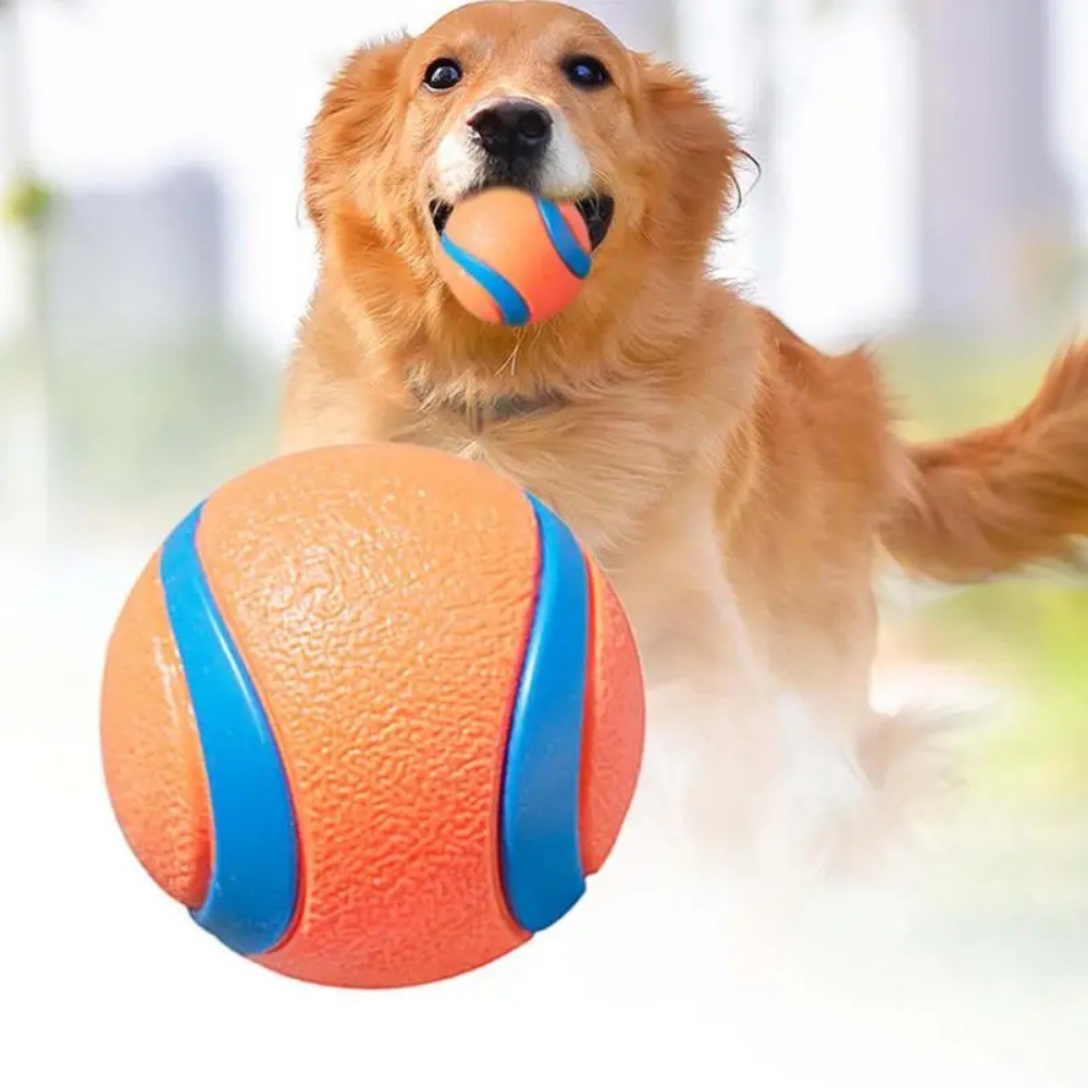 Dog Toy Ball Dog Fetch Ball Toy Tough Pet Ball Puppy Chew Toy Solid Elastic Jumping Ball Pet