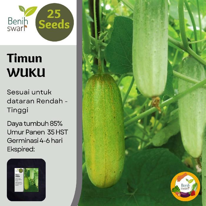Isi 25 Butir Benih Timun WUKU