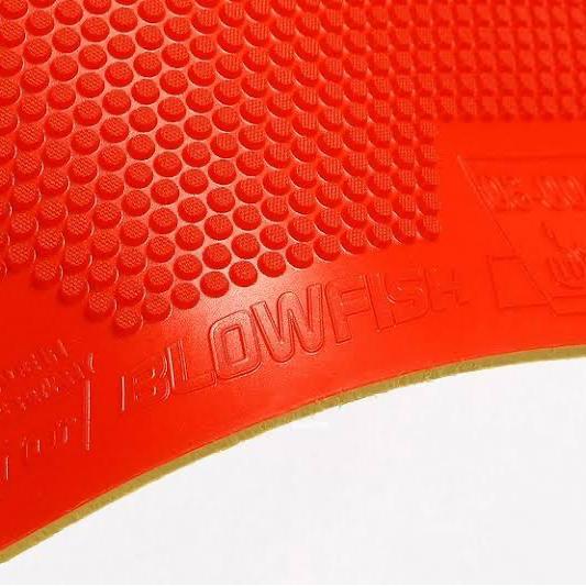 READY Karet Bat Bintik Pendek Andro Blowfish