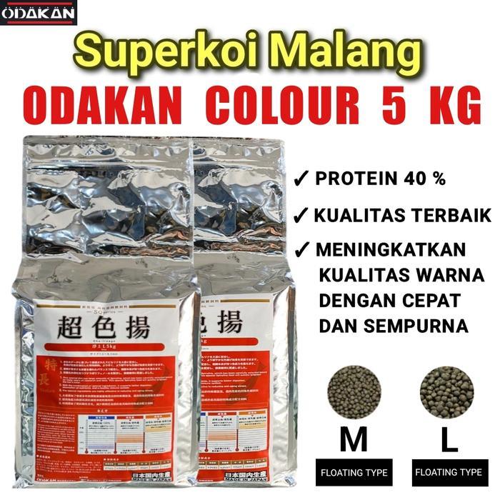 Odakan Colour Merah Warna Pakan Koi Show Import -Warna M L