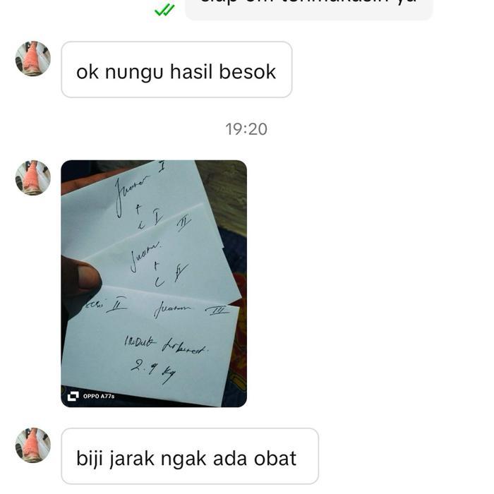 85gr Biji jarak fermentasi umpan bawal