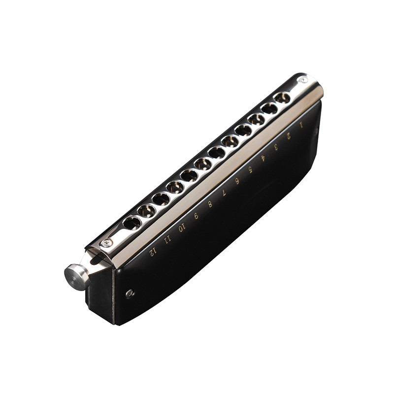 JDR GM0648 Chromatic Harmonica C Key 12-Hole 48 Tones Chromatic Mouth Organ Harp Key of C