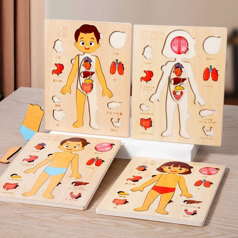 Montessori Human Body Puzzles Busy Board Body Parts Teaching Educational Anatomy Toy for Kids