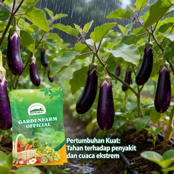 GARDENFARM - Benih Unggul Terong Ungu Unggul Benih Terong Biji Terong Bibit Terong Ungu Panjang