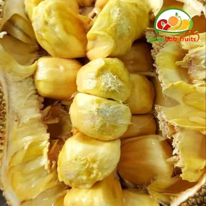 Buah Cempedak King Madu 1pcs