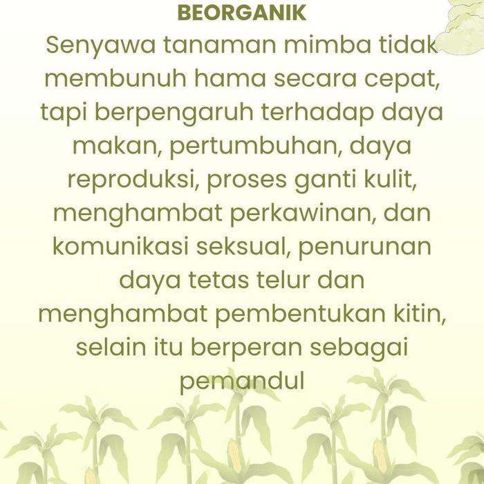 Beorganik Pembasmi Hama Tanaman, Organik, Pestisida, Ulat, Kutu Putih, Hama Daun, Semut, Anaman