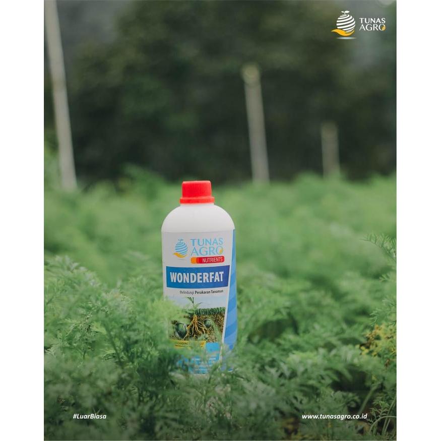 Zico Stored Pupuk Organik Wonderfat Tunas Agro Nutrients 500 Ml