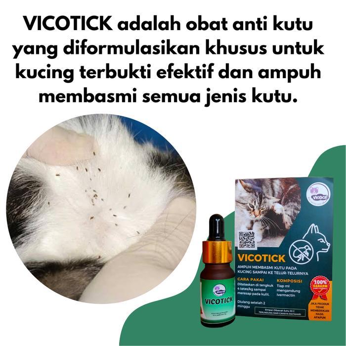 OBAT KUTU KUCING AMPUH VICOTICK BASMI KUTU SAMPAI TELORNYA AMAN KITTEN