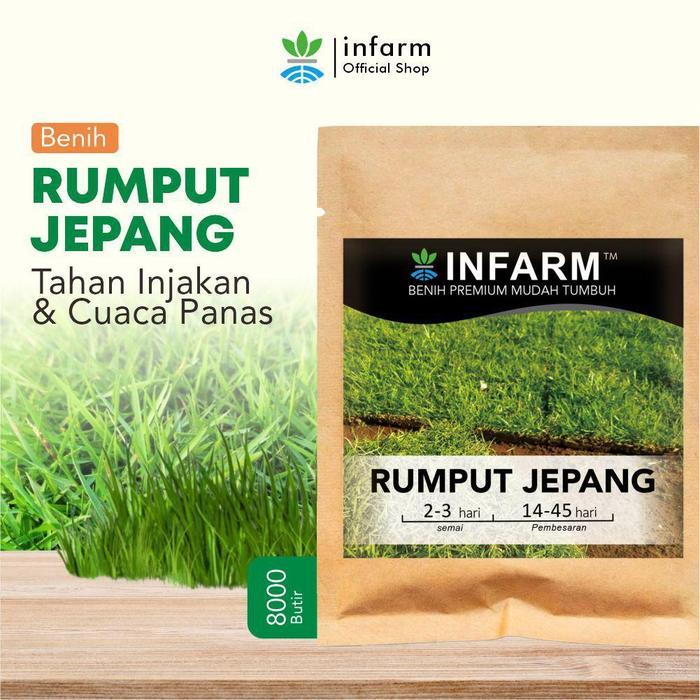INFARM - Benih Unggul Rumput Jepang Rumput Taman Biji Super Rumput Jepang Rumput Golf Jepang Benih