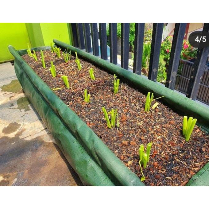 Top Hedge Bag Size L Merek Easygrow/Pot Planter Pems Taman/Hedge Planter Easygrow